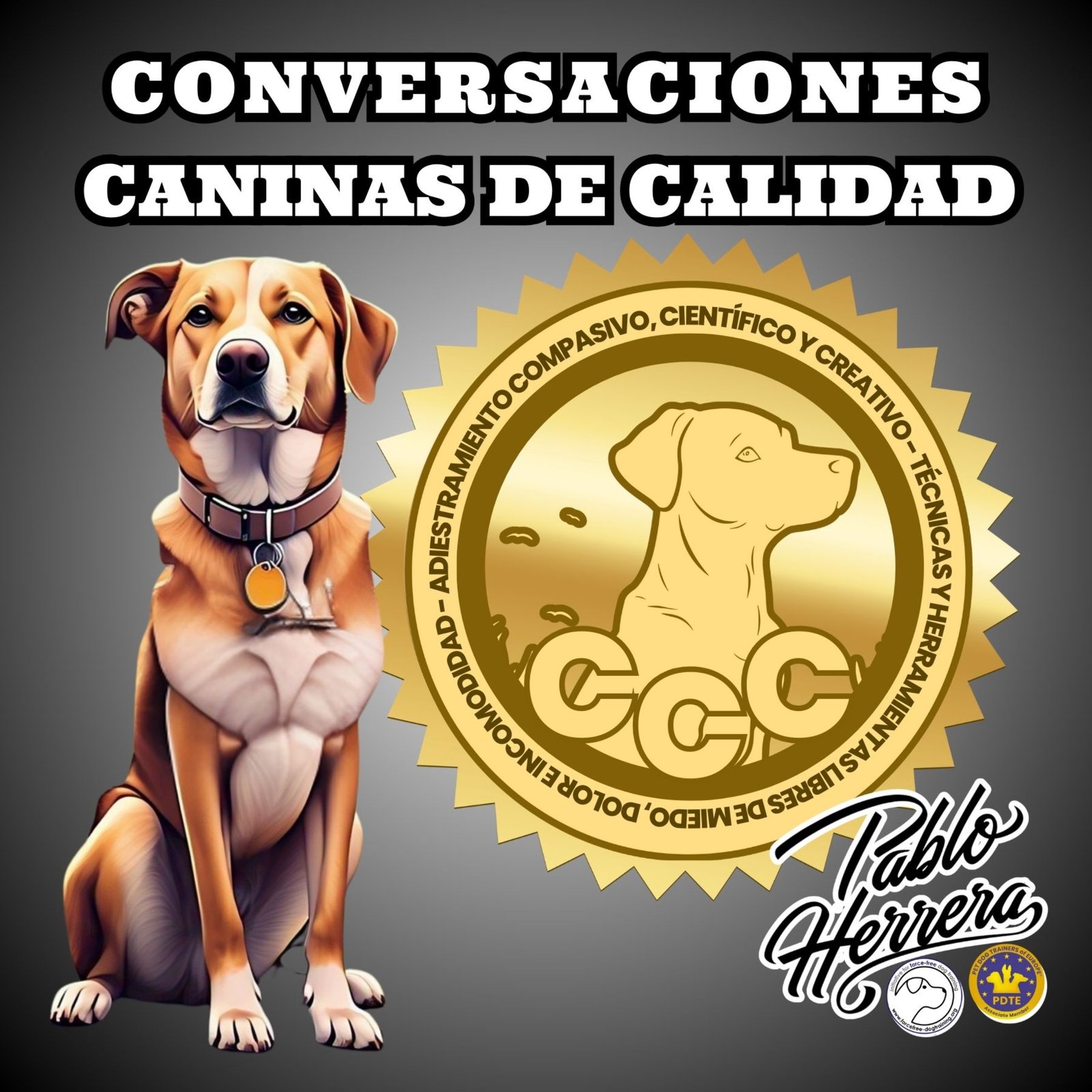 Adiestramiento canino